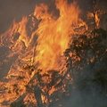 Austraalia Victoria osariigis kutsuti kümneid tuhandeid põlengute eest evakueeruma, mõnede jaoks on aga juba liiga hilja