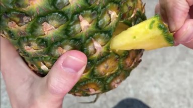 VIDEO | Ettevaatust! Internetis leviv nipp ananassi lõikamiseks on tüng