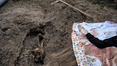 „Keegi peab seda tegema“: vabatahtlikud kaevavad Kiievi oblastis laipu üles