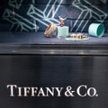 Tiffany & Co представил самое дорогое украшение в истории бренда