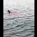 ВИДЕО | Ужасающие кадры: туристка погибла после нападения акулы в Хургаде