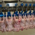 Venemaad ähvardab liha järsk kallinemine