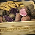 Põhja-Eesti kohalik toit – paepealsed maitsed