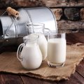 Диетолог рассказала, какие молочные продукты стоит исключить из рациона