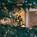 КАРТА | В этом году в Ласнамяэ засияют сразу девять рождественских елок 
