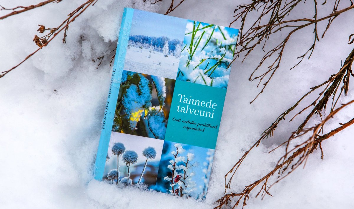 Aedniku jaanuarikuu öökapiraamat on “Taimede talveuni. Eesti aednike praktilised näpunäited”. Koostanud Victoria Parmas.