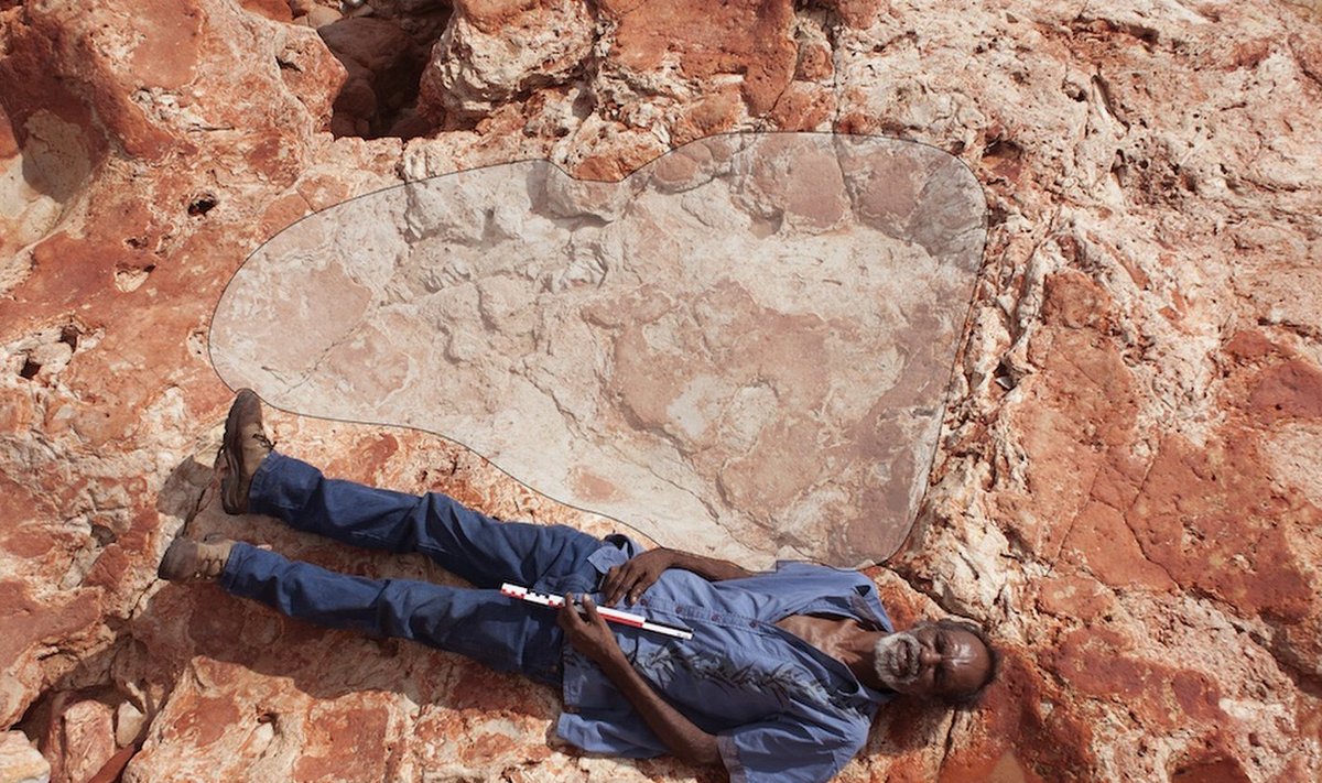 Foto: Salisbury jt / Journal of Vertebrate Paleontology (2017)