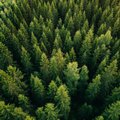 Justiitsministeerium jättis metsaomanike põhiõigusi riivava seaduseelnõu kooskõlastuseta
