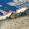 В Испании подтвердили намерение заблокировать соглашение по Brexit из-за Гибралтара