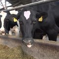 Farmi Piimatööstus investeerib keskkonnasõbralikku tootmisesse