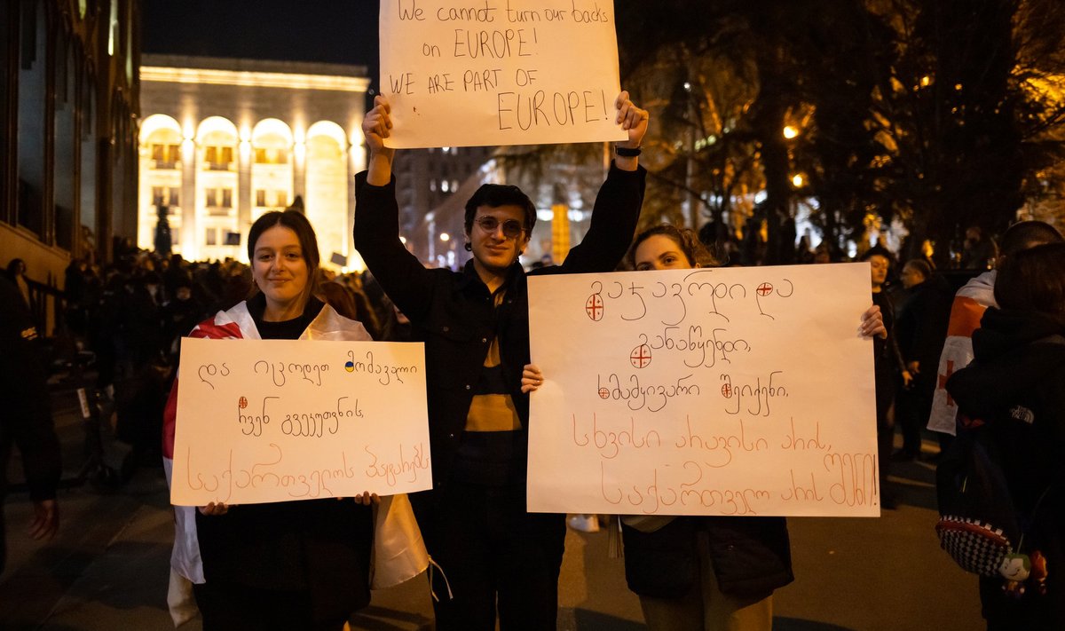 Протестующие в Тбилиси с плакатами