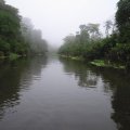 "Maa kopsud" veavad alt: Brasiilia Amazonase vihmamets tekitab juba rohkem süsihappegaasi, kui seob