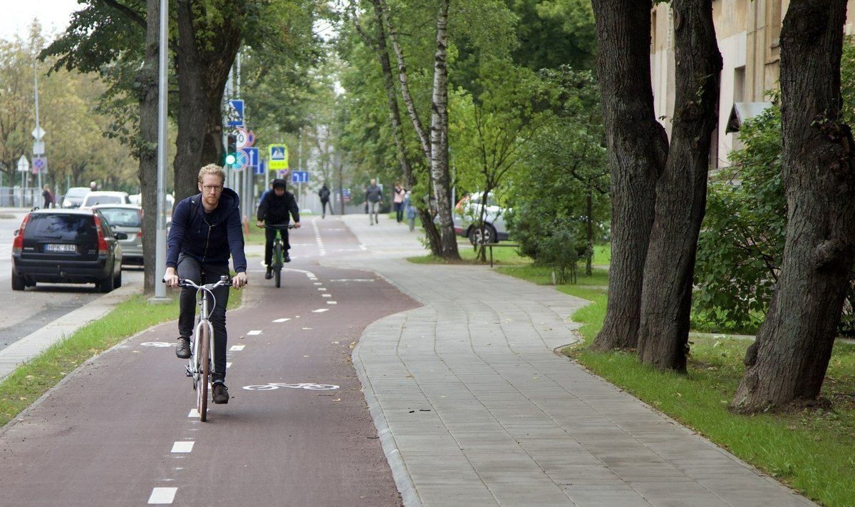 ДЕРЕВО ВАЖНЕЕ: Современный Вильнюс развивается по принципу, что старые деревья вырубать нельзя. Наоборот, дороги проектируются под уже растущие деревья. Так появляются извилистые велосипедные дорожки, которые, по мнению мэра, очень даже красиво смотрятся.