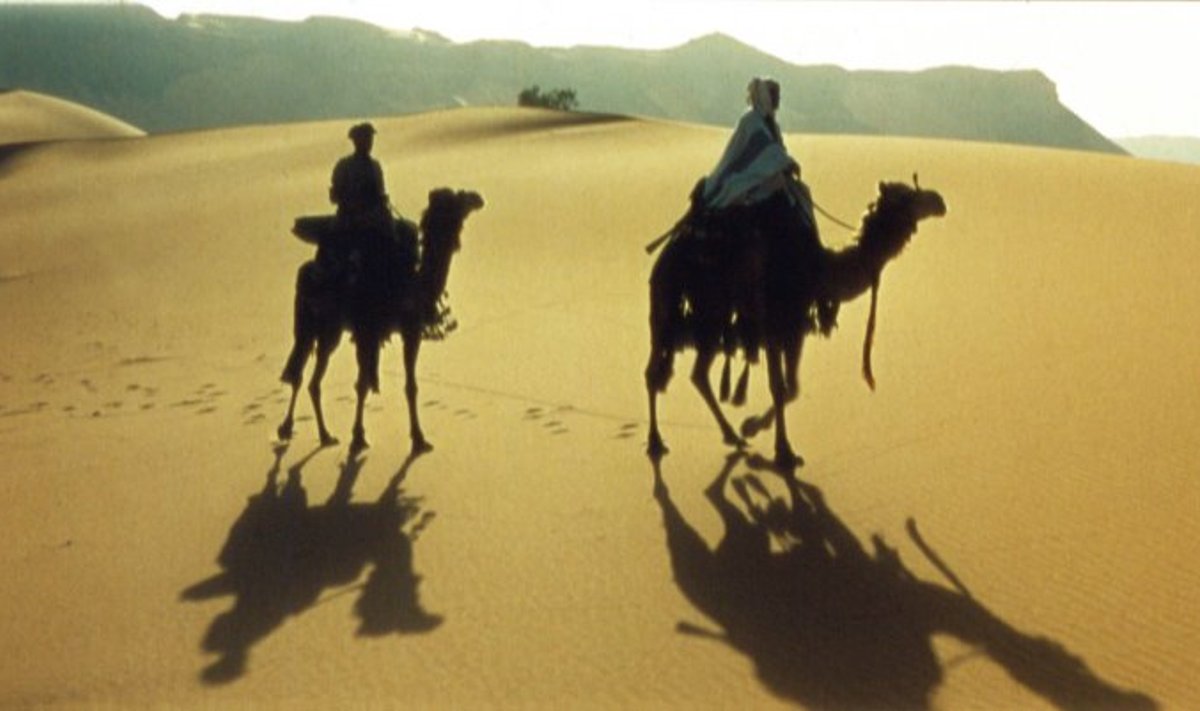 Kaader filmist "Lawrence of Arabia" / Horizon