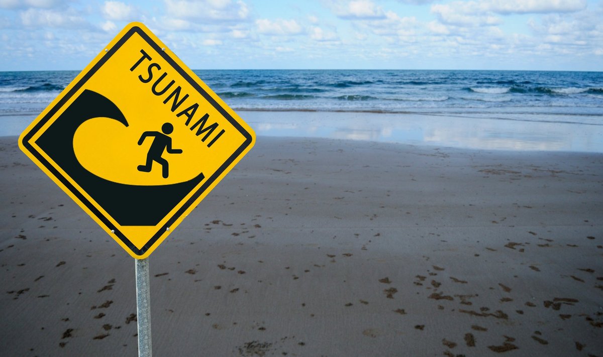 Igatsorti tsunamide väline tegutsemismuster on sama – merel on laine pea märkamatu, kitsastes lahtedes ja sadamates aga võimas.