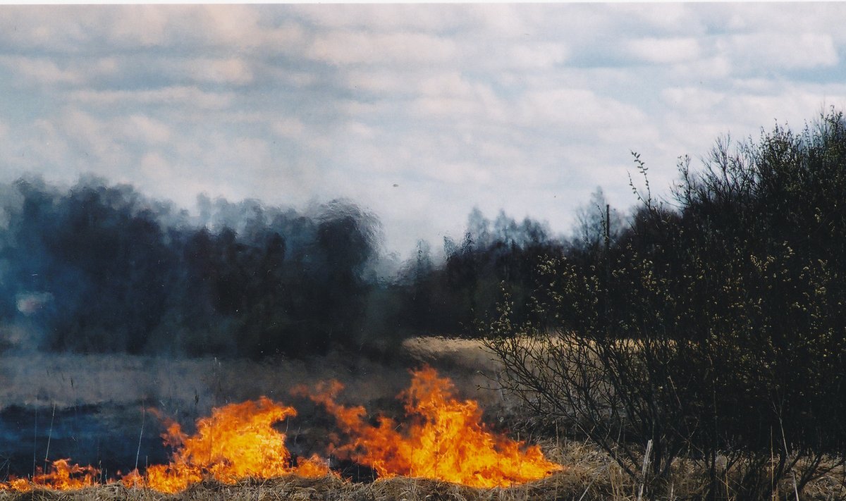 26.04.2002