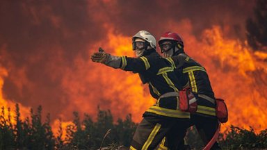 Правда ли, что украинские беженцы вызвали лесные пожары в Испании?