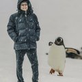 Бывший премьер-министр Эстонии Андрес Таранд работает гидом в Антарктике