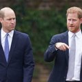 William ja Harry kuninganna troonijuubelil leppimise märke ei näidanud: vendade vahel on barjäär