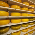 Talumeiereide juustud võistlevad Luige laadal