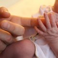 Количество новорожденных в этом году — самое низкое с 2006 года
