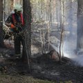KIBE STATISTIKA | Eestis on sajandi jooksul põlenud tuhandeid hektareid metsa