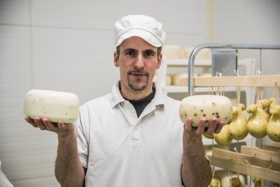 Viinamärdi talus tehakse lambapiimast juustu - Denis Pretto