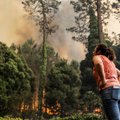 От Франции до Марокко: Европу и ее соседей охватили аномальные лесные пожары