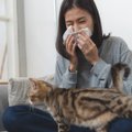 Kassi tahaks, aga allergia kimbutab? 10 nippi, kuidas kassiallergiaga toime tulla