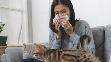 Kassi tahaks, aga allergia kimbutab? 10 nippi, kuidas kassiallergiaga toime tulla