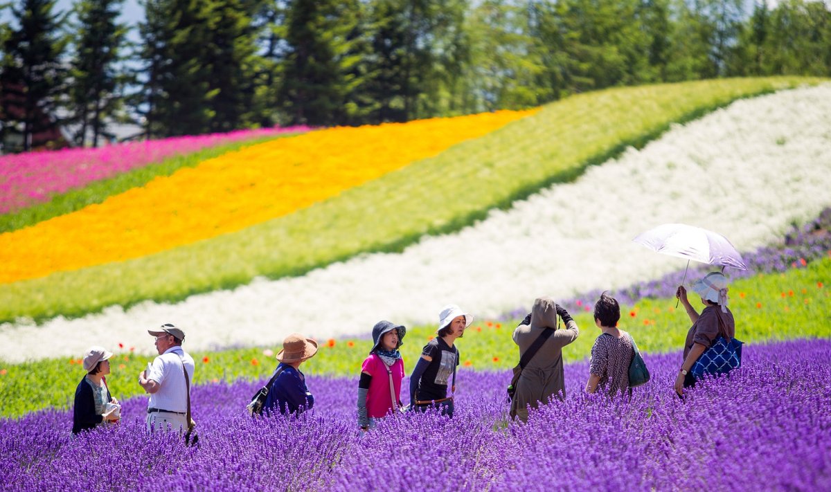 Hokkaido