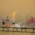 VIDEO | Türgis põlevad talunike koduloomad ja turiste evakueeritakse meritsi