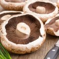 UURING | Kas liha vahetamine seente vastu võib aidata depressiooni ennetada?