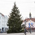 FOTOD | Tartu jõulupuu ootab ehtimist