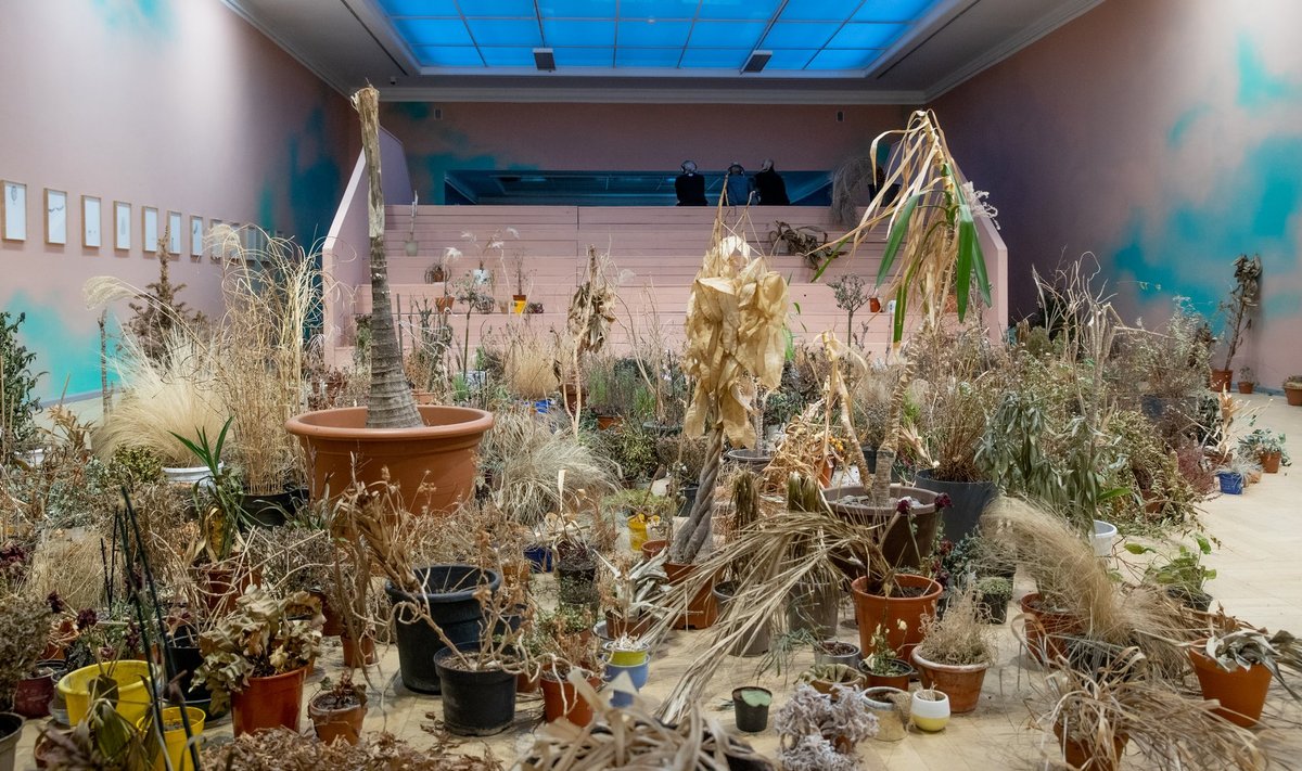 Üks näituse mõjusamaid töid on „Vägivald kasvab vaikuses”, mis koosneb surnud toataimedest. Närtsinud ja kolletunud taim sobib ideaalselt totaalse otsalõppemise sümboliks.