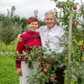 Rebase talus kasvab 130 õunasorti ja ligikaudu 1000 õunapuud! Kuidas pererahvas nendega küll toime tuleb?