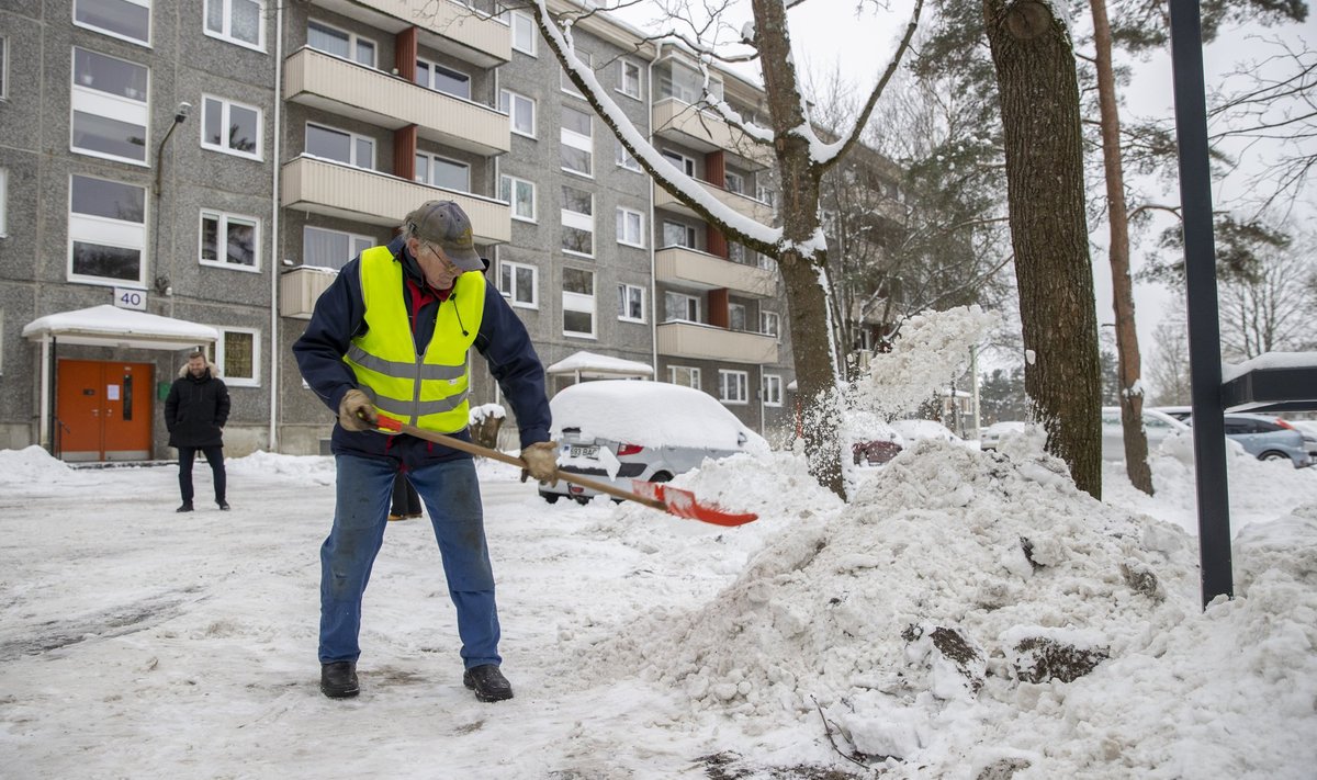 Labidaga, ikka labidaga! Kas traktor poleks palju tõhusam?