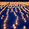 Сегодня будут зажжены 8005 свечей в память об умерших от заболеваний сердца