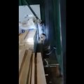 VIDEO | Tartu Puumarketis kolab ringi ilves