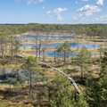 Поездки на болота, в Нарву и Копли: жители Эстонии начинают вновь изучать свою страну?