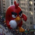 Vihased linnud vihastasid investoreid