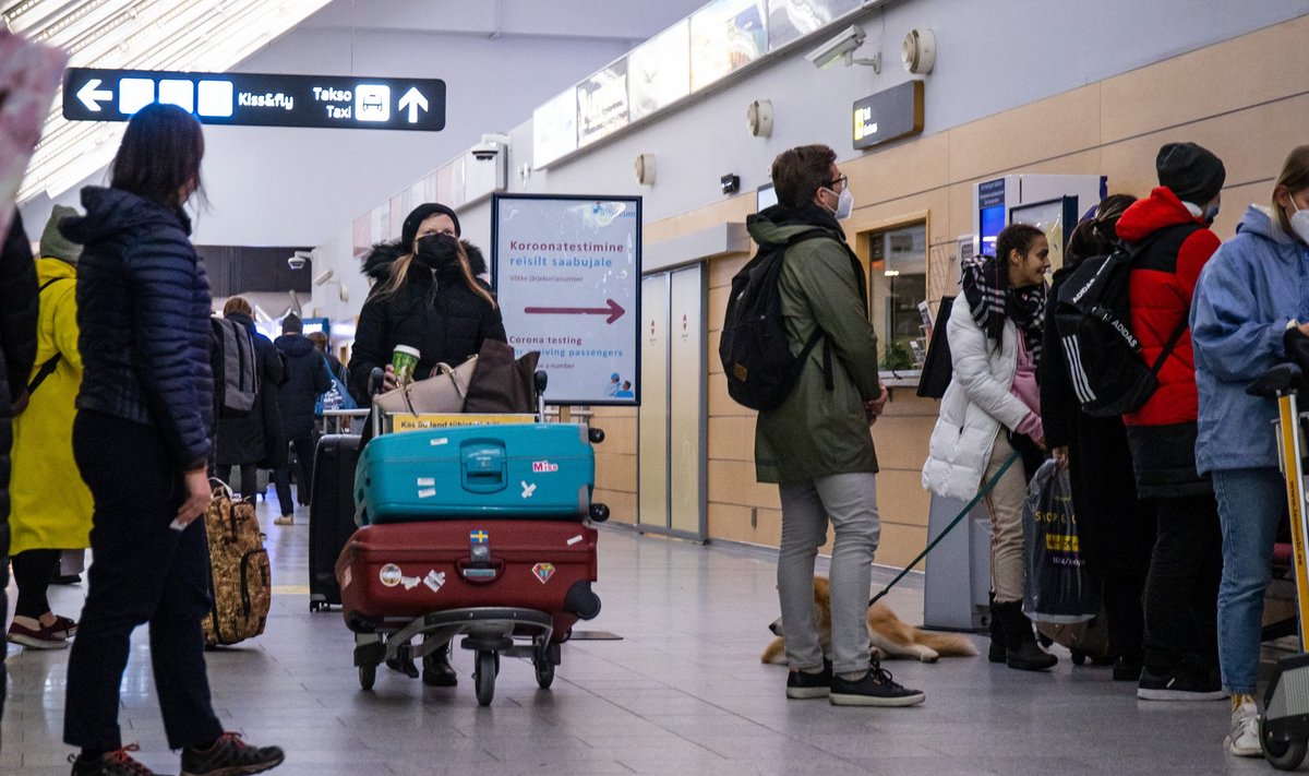 Eile õhtul Egiptusest Sharm El-Sheikist saabunud reisijad jäid Tallinna lennujaamas koroonatesti tegema.