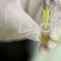 Ebolale ravi pole leitud, küll üritati seda viirust biorelvadesse pista
