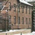 ФОТО | В интернет-магазине Amazon обнаружили елочные украшения и сувениры с изображением Освенцима