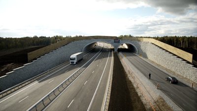 Tallinn-Tartu-Võru-Luhamaa maantee Võõbu-Mäo lõigu ehitus, Puiatu ökodukt.