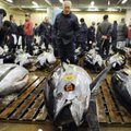 Конец эпохи: в Токио закрывается легендарный рыбный рынок Цукидзи