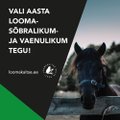 Aita valida aasta kõige loomasõbralikum ja -vaenulikum tegu: kandidaadid on selgunud