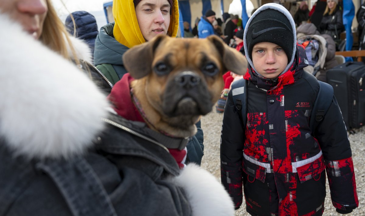 Palanca, Moldova. Ukriana sõjapõgenikud. Foto illsutreeriv