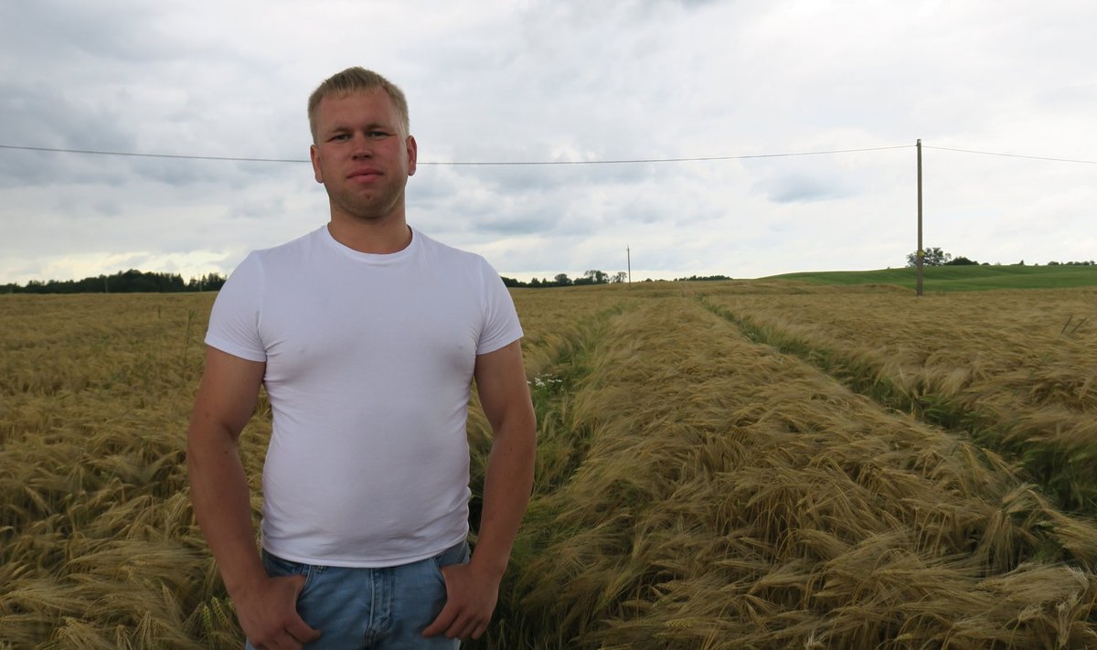 Noor Lõuna-Eesti põllumees Gert Neeve kasvatas võimsa taliodrasaagi, 9 t/ha.