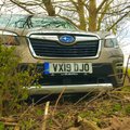 Proovisõit: uus Subaru Forester e-Boxer – maastikusuutlik pereauto